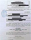 Statuts notariés enregistrés - expédition de la minute